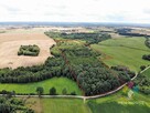 Atrakcyjna działka rolno-leśna - 10