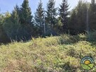 Nielepice gm. Zabierzów - działka budowlana 1300 m2 - 5