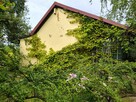 Ogród działkowy ROD ZORZA w Ziemnicach k/ Legnicy - 3