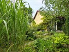 Ogród działkowy ROD ZORZA w Ziemnicach k/ Legnicy - 1