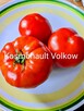 Currant Gold Russian Nasiona pomidor rosyjski pokarm nasiona - 6