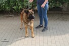 Boyka - 4