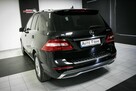 ML 350*4Matic*Pneumatyka*Salon Polska*Harman kardon/2x szyberdach - 10