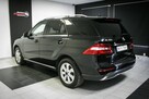 ML 350*4Matic*Pneumatyka*Salon Polska*Harman kardon/2x szyberdach - 11