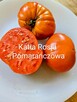 Currant Gold Russian Nasiona pomidor rosyjski pokarm nasiona - 7