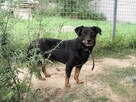 Słodki MIKRUSEK i jego podły los - 7