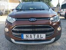 Ford EcoSport - 6