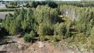 Działka w sercu lasu z warunkami zabudowy Skórzec - 5