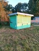 Sprzedam kiosk kontener barak pawilon schowek 230x360x270 - 2