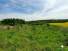 Działka budowlana Olsztynek - 10