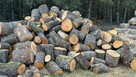 Ładny świerk na OPAŁ na sprzedaż TANIO - 6