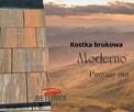 Kostka brukowa | PREMIUM | Różne kolory - Kar-Group Ełk - 3