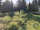 Nielepice gm. Zabierzów - działka budowlana 16 ar k/lasu ! - 9