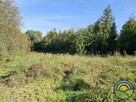 Nielepice gm. Zabierzów - działka budowlana 16 ar k/lasu ! - 7