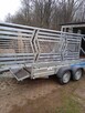bramy- siłowniki - 11