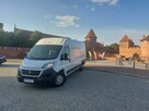 M Cars Rental - Wypożyczalnia Samochodów Malbork - 5