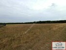 Sprzedam działki budowlane przy lesie w gm. Kazimierz Biskup - 8