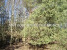 Działka siedliskowa Petrykozy gm. Żabia Wola - 5
