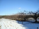 Działka siedliskowa Petrykozy gm. Żabia Wola - 6