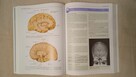 Clinical Neuroanatomy Richard Snell - 4