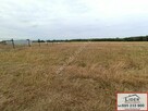 Sprzedam działki budowlane przy lesie w gm. Kazimierz Biskup - 3
