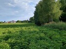 1/6 udziału w nieruchomości zabudowanej - Podkampinos - 12