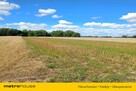 Działka rolna Dąbkowice Dolne/ Łowicza -13 300m2 - 4