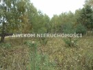 Działka budowlana Żabia Wola Jastrzębnik - 2