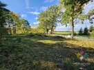 Urokliwa działka w spokojnej wsi, 1 km od jeziora - 4