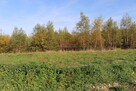 Działka budowlano- rolna 1,5 ha  m2 - Biskupice