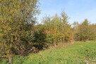 Działka budowlano- rolna 1,5 ha  m2 - Biskupice - 5
