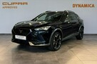 Cupra Formentor 2.0TSI 190KM DSG 4drive 2023 r., salon PL, I właściciel, f-a VAT - 1