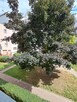 Mieszkanie 2 pokojowe 51,8 m² Lublin ul. Czwartek - 6
