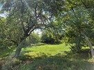 Działka 1,66 ha i zabudowania, MU(40a) plus rola )Bochnia, Łapanów, Zbydniów - 4