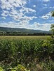Działka 1,66 ha i zabudowania, MU(40a) plus rola )Bochnia, Łapanów, Zbydniów - 5