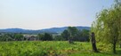 Działka 1,66 ha i zabudowania, MU(40a) plus rola )Bochnia, Łapanów, Zbydniów - 6