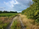 1/6 udziału w nieruchomości zabudowanej - Podkampinos - 10