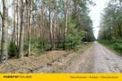 Las 13ha, duży areał w jednym kawałku - Klonownica - 2