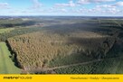 Las 13ha, duży areał w jednym kawałku - Klonownica - 5