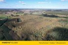 Las 13ha, duży areał w jednym kawałku - Klonownica - 7