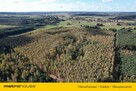 Las 13ha, duży areał w jednym kawałku - Klonownica - 10