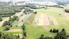 Kompleks gruntów 4,74 ha w gm. Kazanów - 3