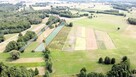 Kompleks gruntów 4,74 ha w gm. Kazanów - 6