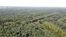 Kompleks gruntów 4,74 ha w gm. Kazanów - 13