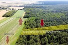 Las 1.85 ha Krzyżanówka - sosna, budulec - 2