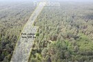 Las 1.85 ha Krzyżanówka - sosna, budulec - 3