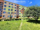 Mieszkanie 2-pokojowe w centrum Ostrowca Św. - 1
