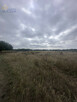Działka siedliskowa Pasikonie gm. Kampinos, - 3