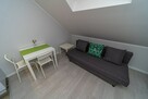 Jasna kawalerka pet friendly, Proszowicka 15 - 1