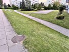 3 pokoje, zamknięte osiedle, niski czynsz - 15